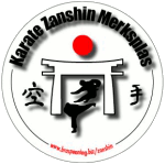 Logo Karate Zanshin